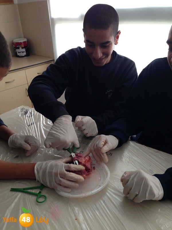 ajyal teb 0311 (9).JPG